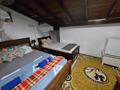 Southern Comforts - Galle Fort - 31