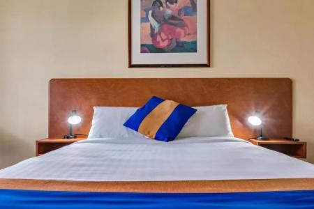 ibis Styles - 29