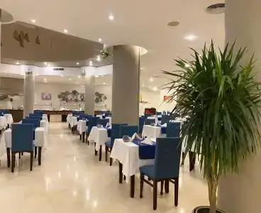 Sharm Reef Resort - 27