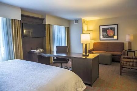 Hampton Inn & Suites - 79