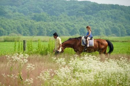 The Orchards Niseko - 15