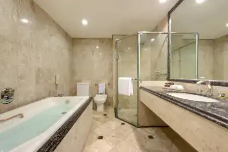Sheraton são Paulo Wtc - 30
