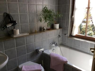 Gerberhaus - 9