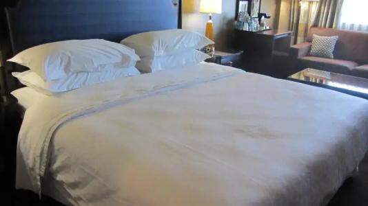 Sheraton North Houston at George Bush Intercontinental - 63