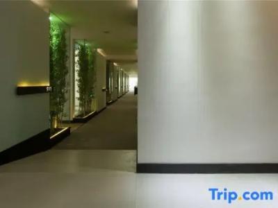 S. Designer (Chengdu Renmin South Road US Consulate) - 7