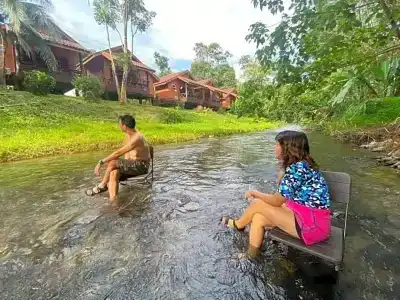Khaosok Rainforest Resort - 79