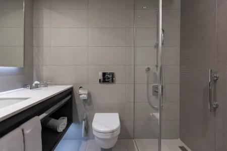 Crowne Plaza Belgrade, an IHG - 104