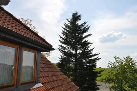 Rhön-Sonnenhof - Restaurant & Café - 55