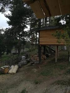 Heshkili huts Svaneti - 28