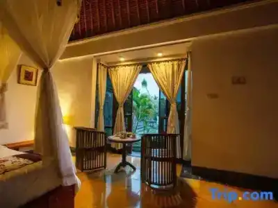 Alam Puri Art Museum Resort & Spa - 118