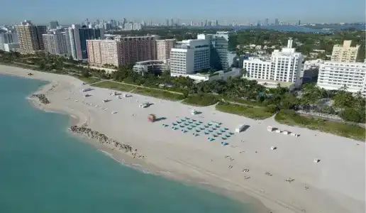 The Palms & Spa - 44