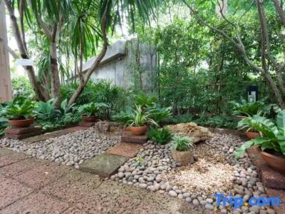 Raya Resort - The Most Green Resort in Cha-am - 119