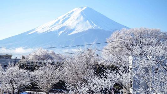 Maruyaso - 14
