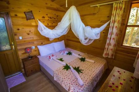 Full Moon Camp - 40