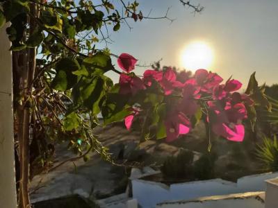 Thalassa Naxos - 82