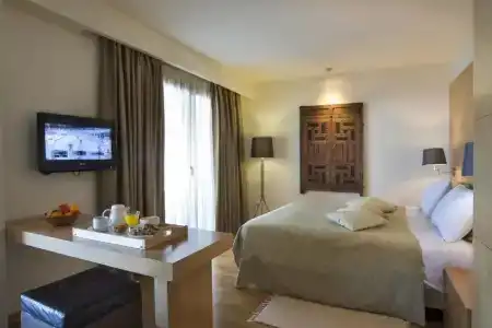 Domotel Anemolia Mountain Resort - 127