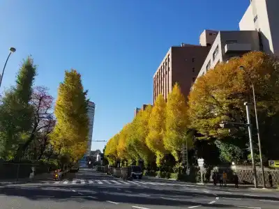 Tokyo Garden Palace - 14