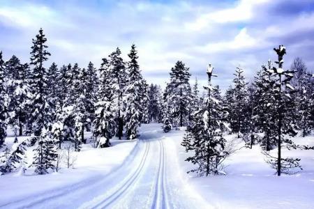 & Pension Traumblick - 17