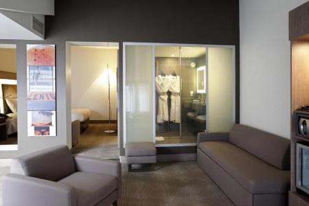 Novotel Toulouse Centre Wilson - 112