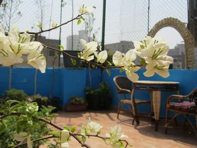 Arabian Nights Hostel - 10
