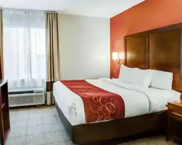Comfort Suites South - 33