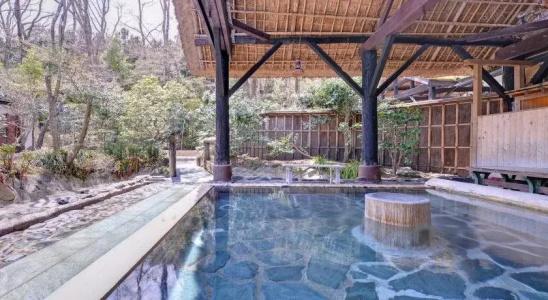 Sachinoyu Onsen - 16