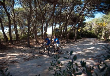 Ecoresort Le Sirene - Carolis - 32