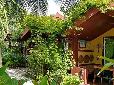 Beach Villa Ukulhas - 20