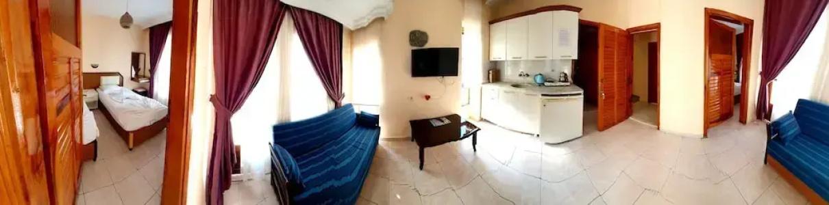 Palmen Apart - 53