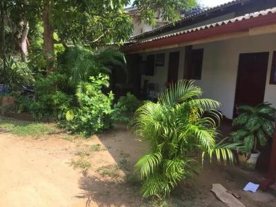Margosa Guesthouse - 32