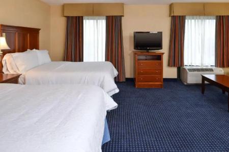 Hampton Inn and Suites South - 48