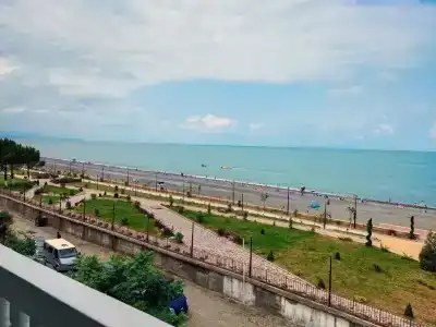 Белый лебедь - 10