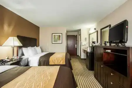 Comfort Inn Portland - 4