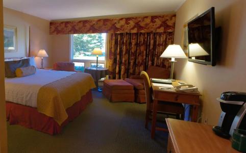 Stoweflake Mountain & Spa - 29