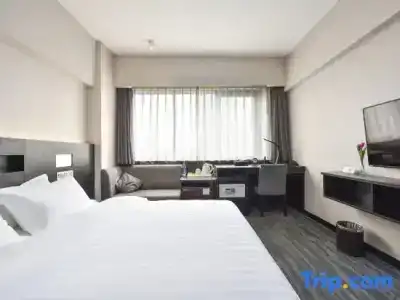Dalian Royal - 28