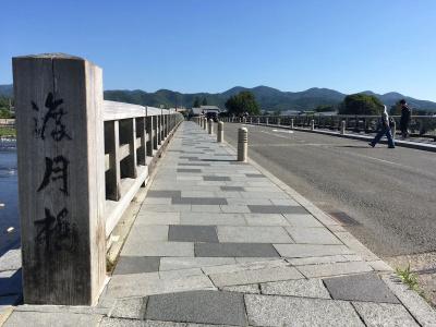 Yado Arashiyama - 14