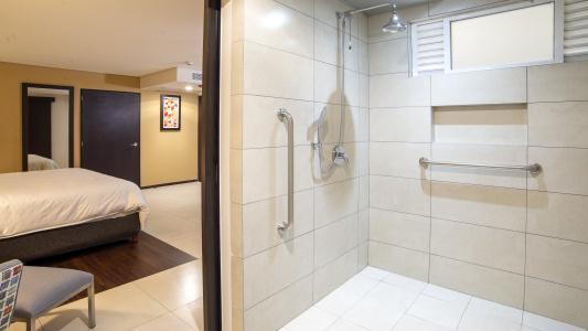 Holiday Inn Express - Mexico Basilica, An Ihg - 27