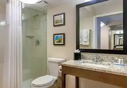 Comfort Inn & Suites Daytona Beach Oceanfront - 65