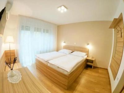 Guest house Stara lipa Tašner - 16