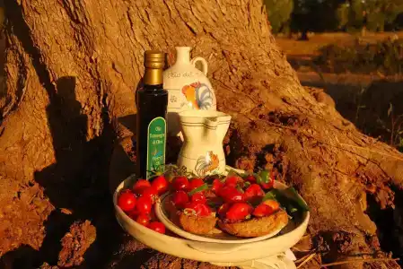 Terra di Leuca - 17