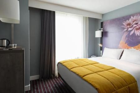 Mercure Nancy Centre Place Stanislas - 106