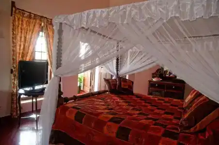 Zanzibar Palace - 140