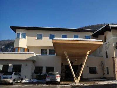 Alpenrose Kufstein - 25