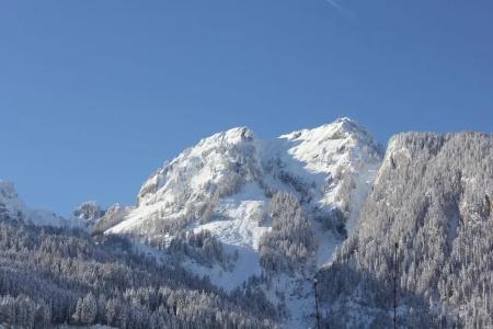 Dorfer - 41