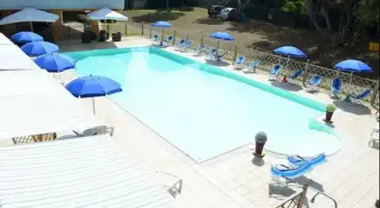 Paradiso Verde - 14