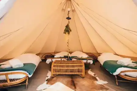 Daft & Glamping - 56
