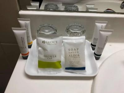 Quality Ambassador - 29