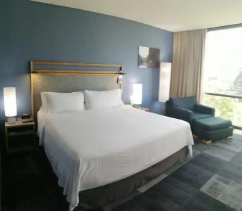 Holiday Inn Express Mexico Reforma - 70