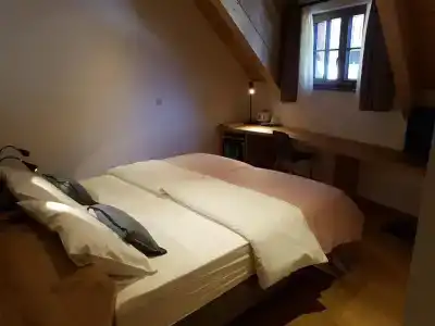 Vandot - 41