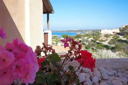 Bagaglino I Giardini Di Porto Cervo - 49